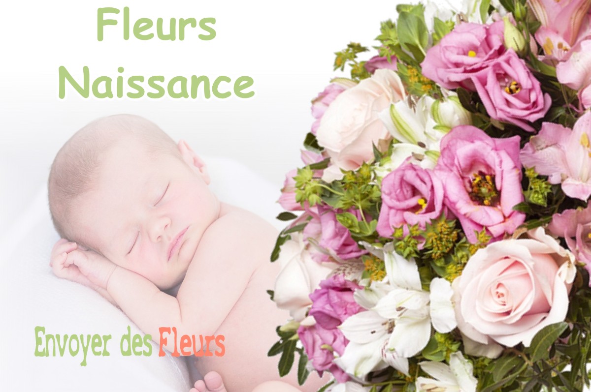 lIVRAISON FLEURS NAISSANCE à MOUCHARD